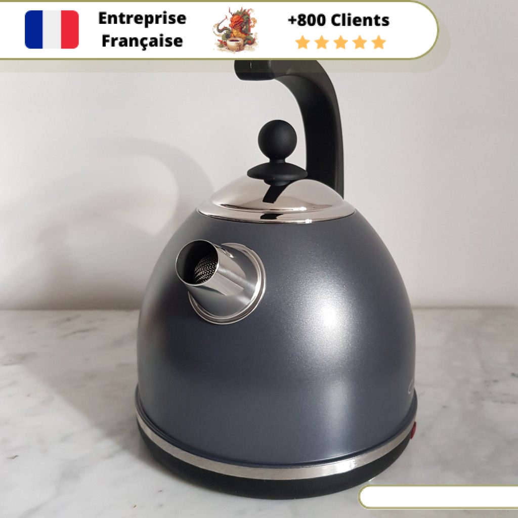 Bouilloire Électrique - 1,7 Litre - 2200 Watts - Pichet Sans Fil - Protection Contre L