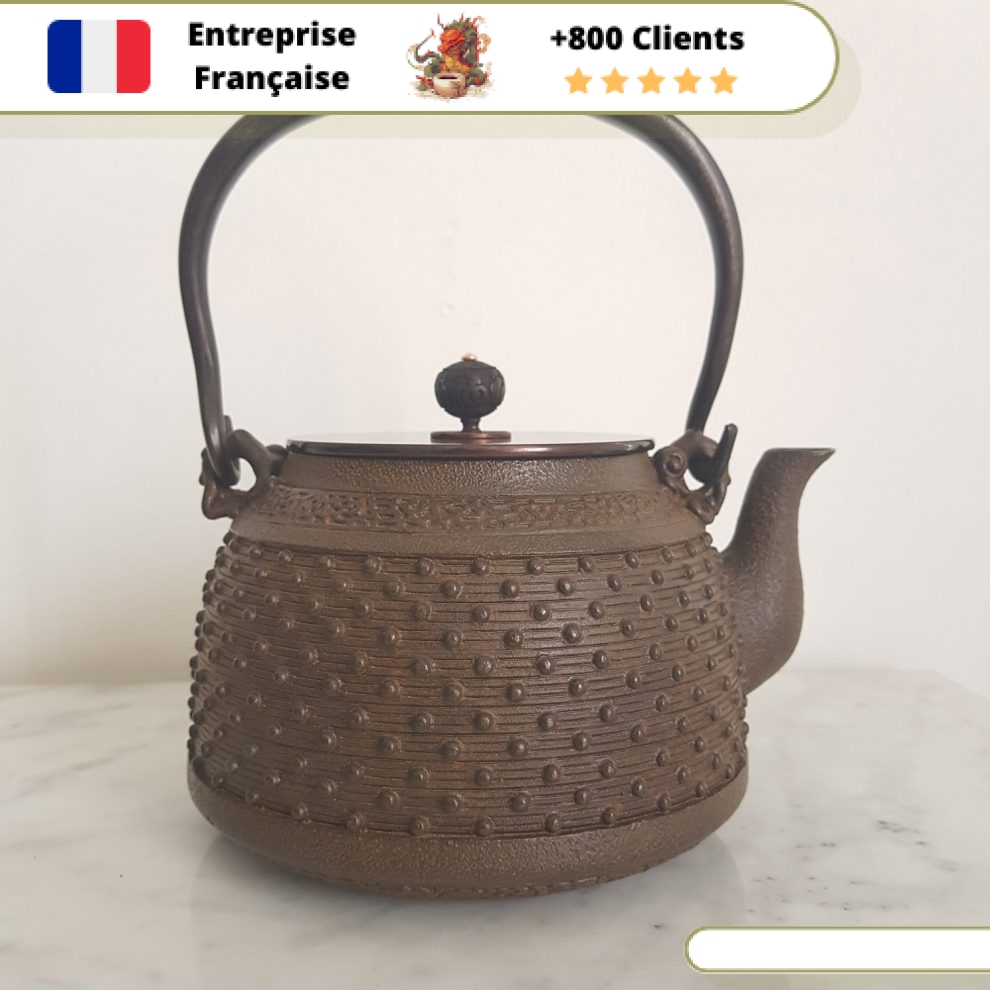 Théière En Fonte Vintage 0,9 L - Bouilloire à Thé Pratique, Rétention Chaleur Longue, Compatible Induction Et Poêle Fonte, Décoration Bureau Ou Maison