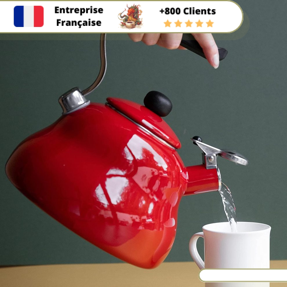 Bouilloire en porcelaine émaillée