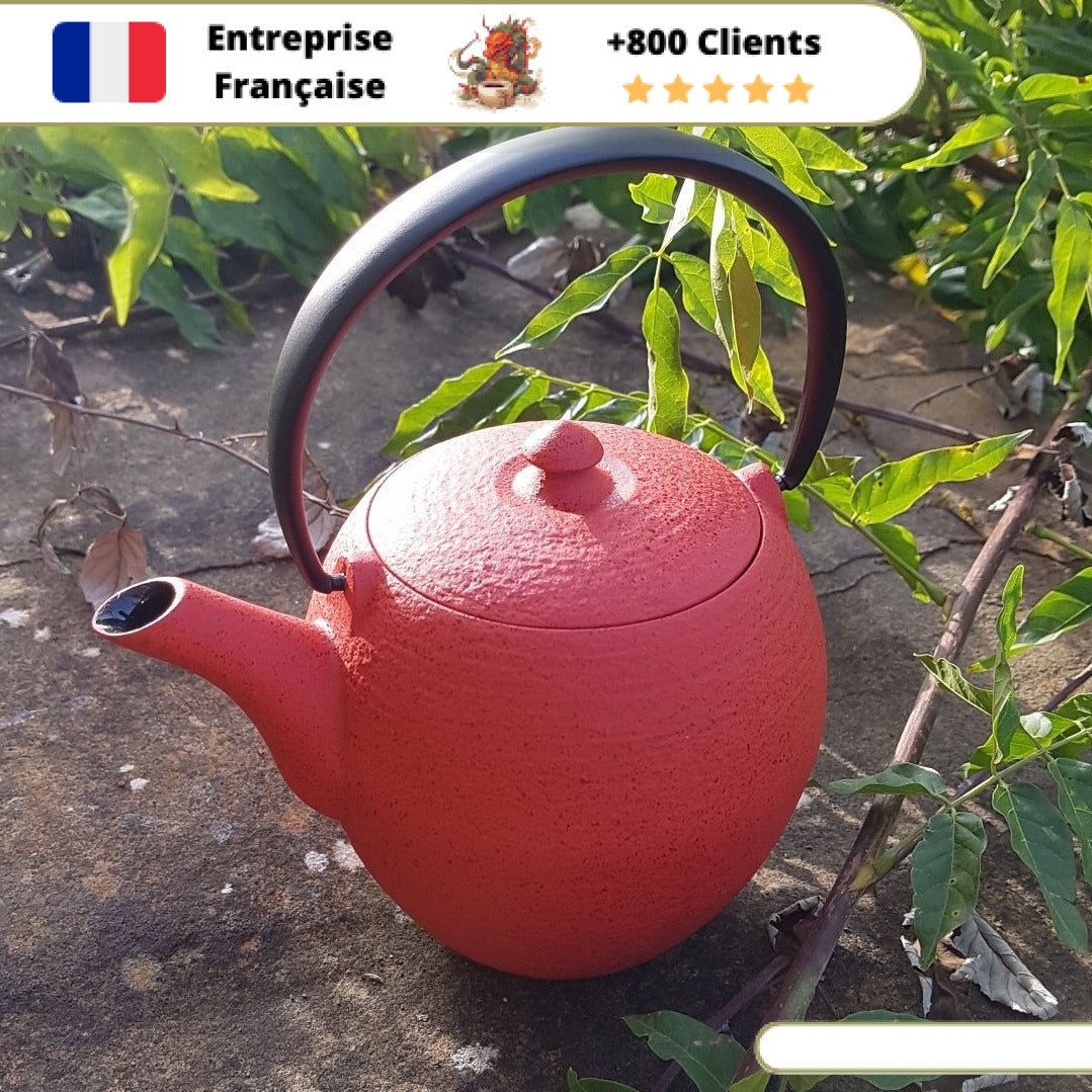 Théière en Fonte Moderne Wazuqu Mayu 550ml – Image 12
