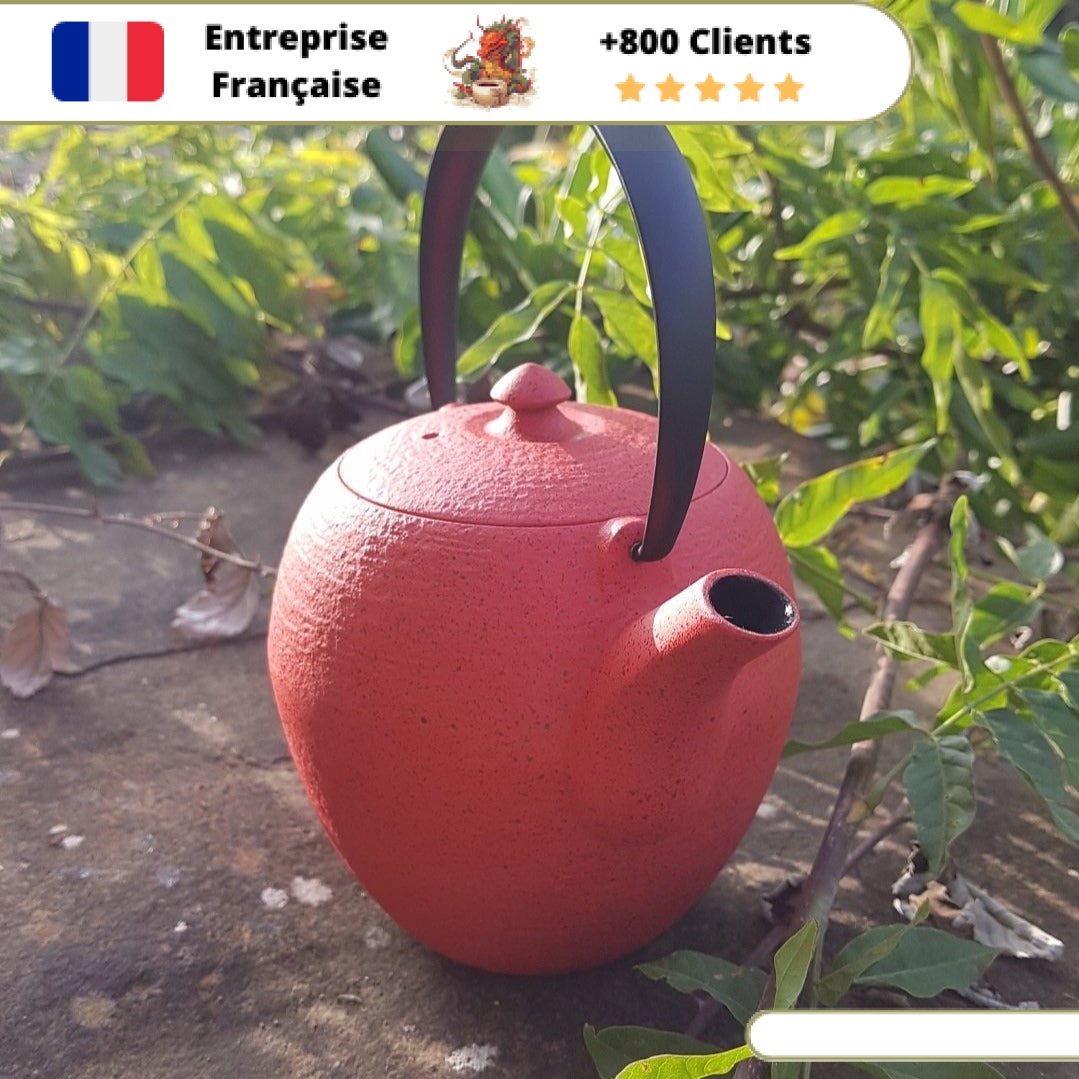 Théière en Fonte Moderne Wazuqu Mayu 550ml – Image 2