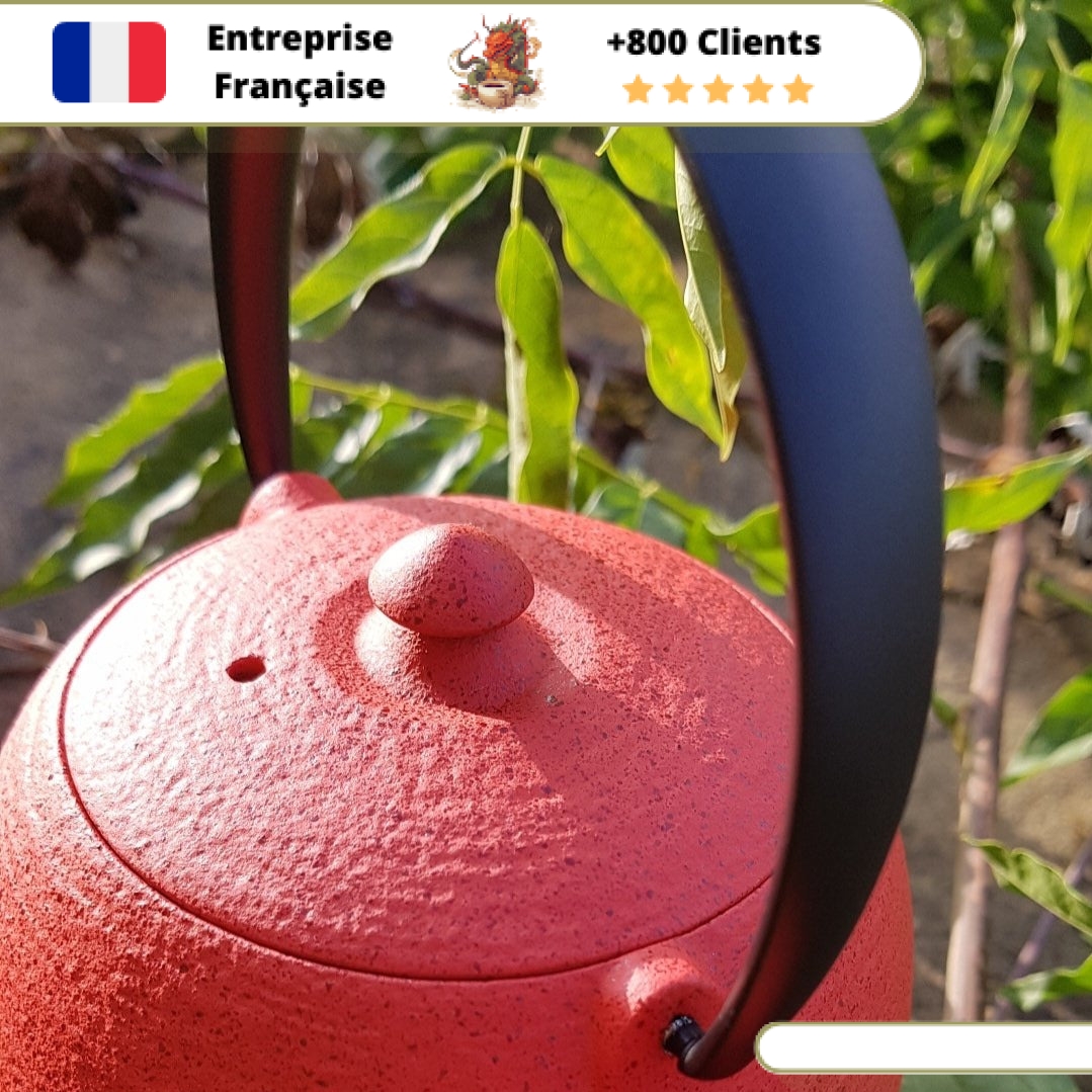 Théière en Fonte Moderne Wazuqu Mayu 550ml – Image 13