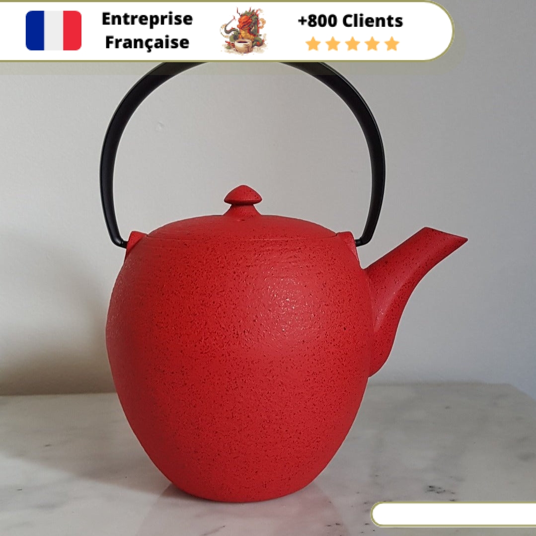 Théière en Fonte Moderne Wazuqu Mayu 550ml – Image 4