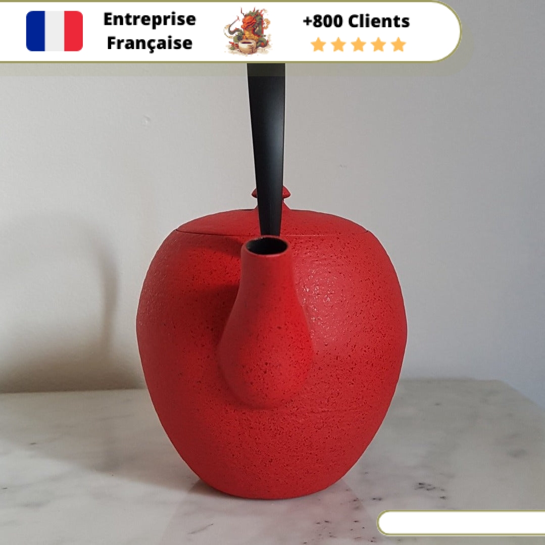Théière en Fonte Moderne Wazuqu Mayu 550ml – Image 7
