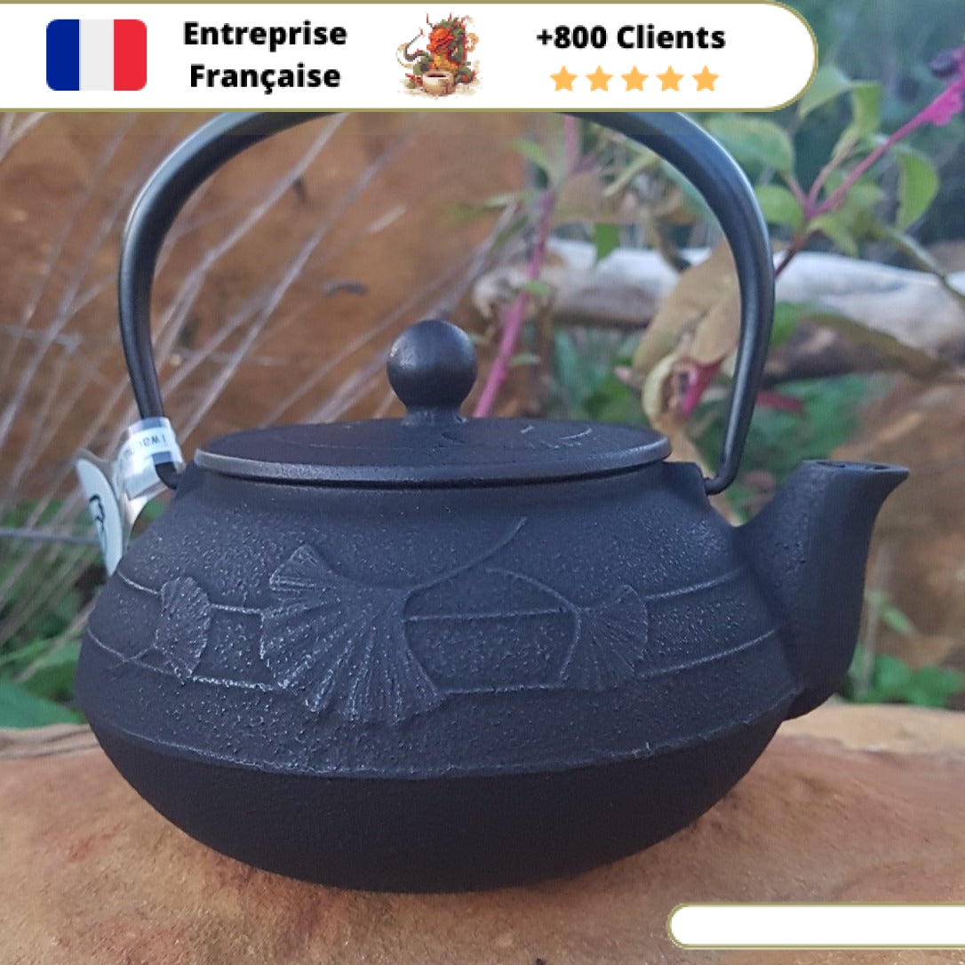 Théière en Fonte Iwachu Gingko 650ml – Image 5