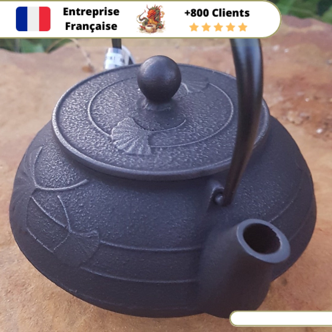 Théière en Fonte Iwachu Gingko 650ml – Image 12