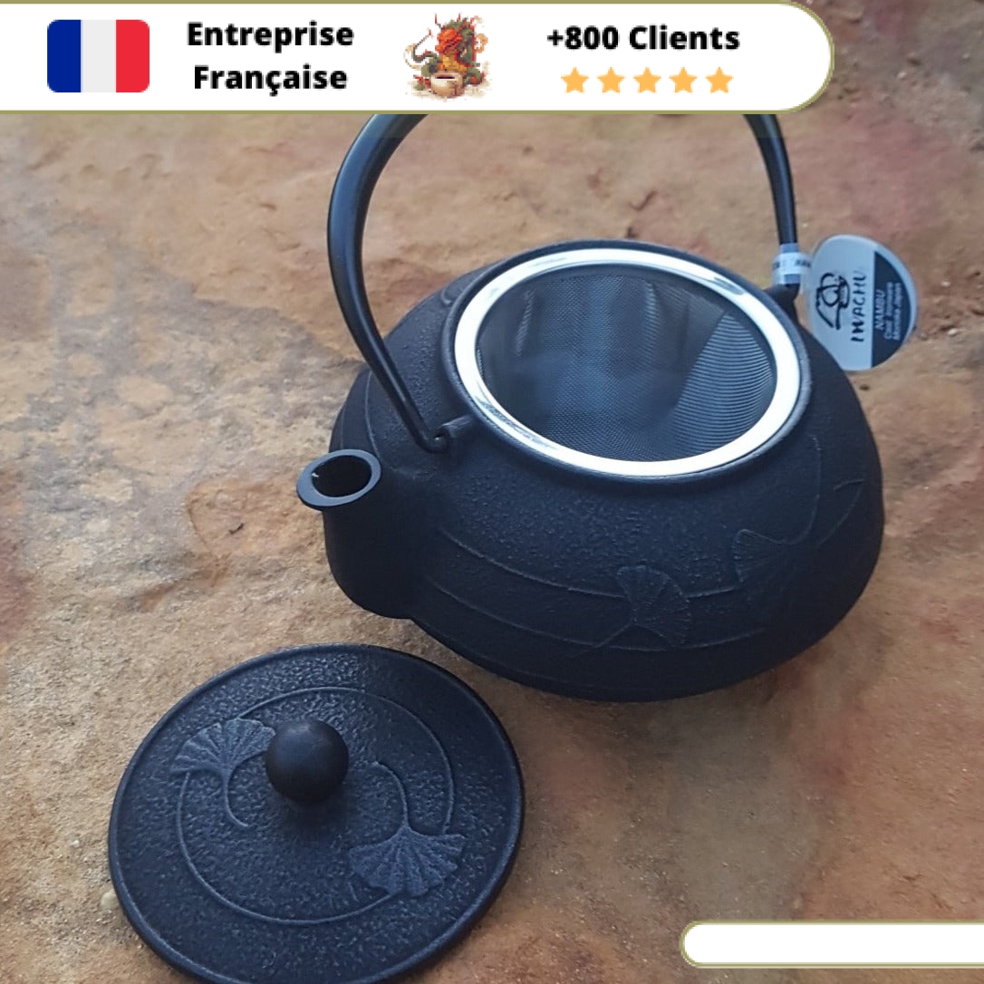 Théière en Fonte Iwachu Gingko 650ml – Image 8