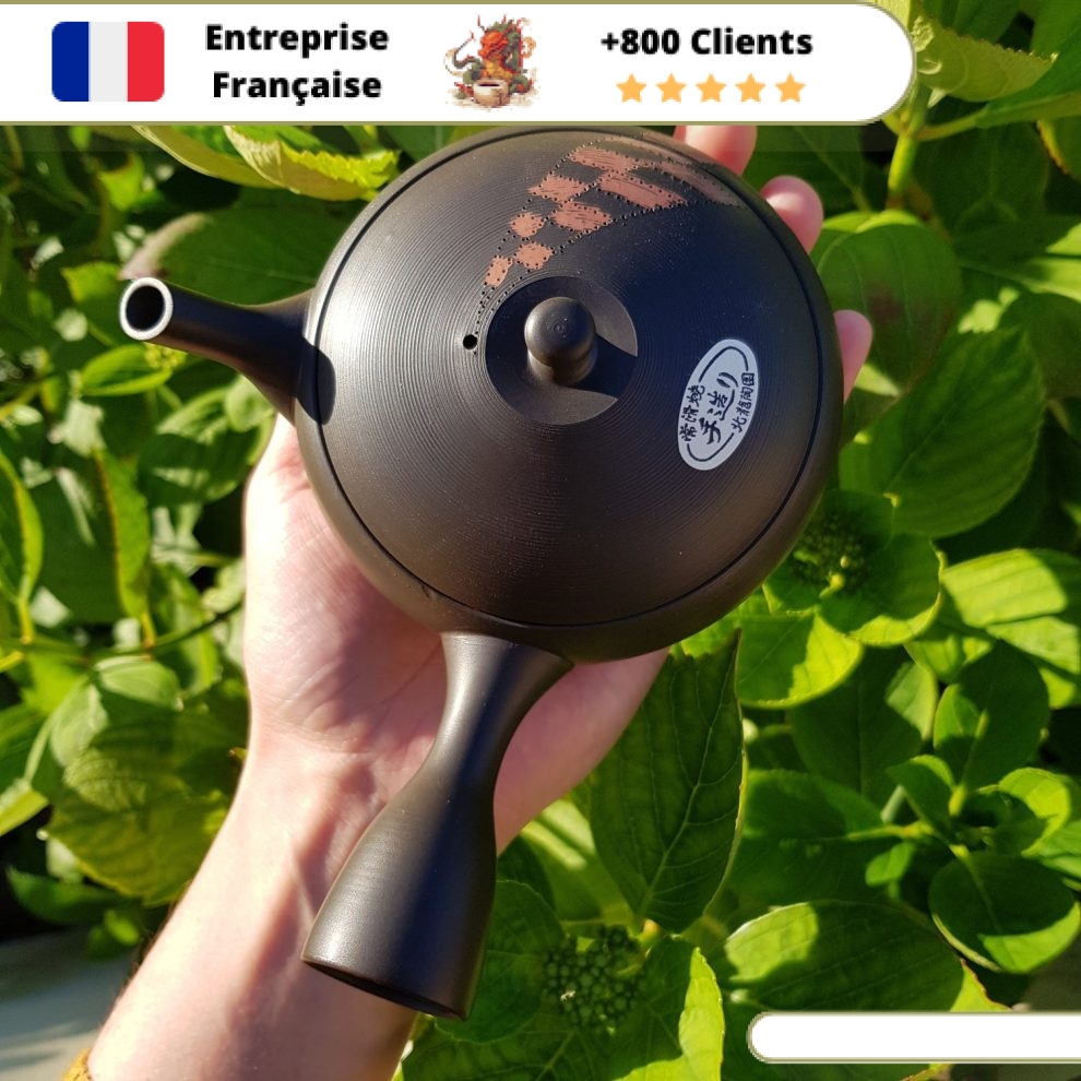TeaClub Kyusu Théière Japonaise Céramique 200ml Avec Passoire Inox - Noir