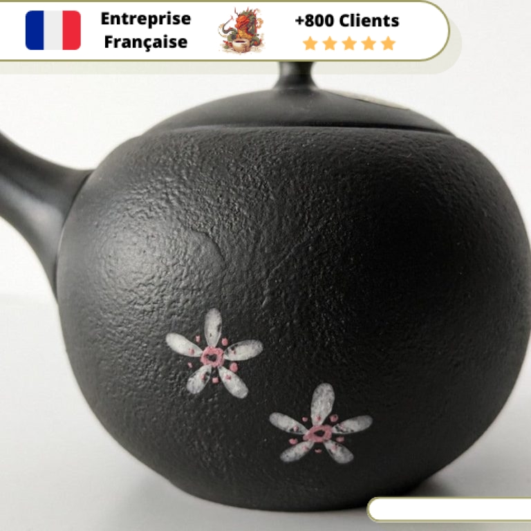 Théière Japonaise Tokoname Kyusu Minato - Céramique Blanche - 325 Cc - Pour Sencha