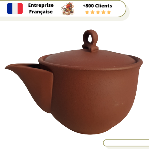 Théière Japonaise <br> Tokoname Hohin 280ml