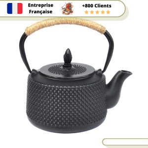 Théière en Fonte DU JAPON