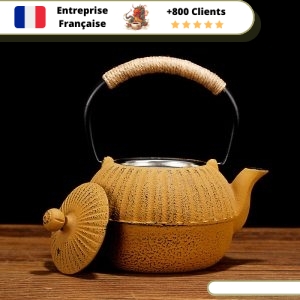 Théière Orange Citrouille 500ml