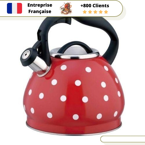 Bouilloire Design Rouge