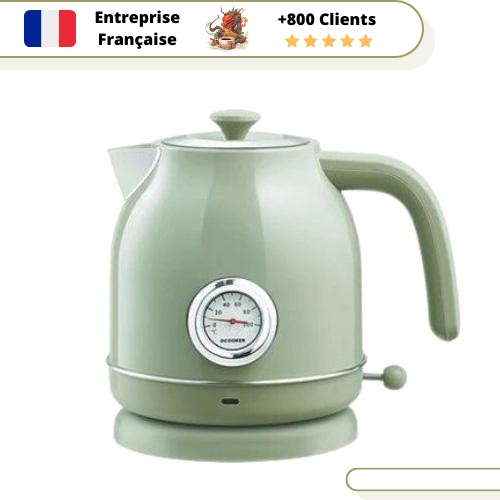Bouilloire Électrique Rétro