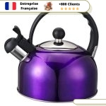 Bouilloire Vintage La Violette à Induction