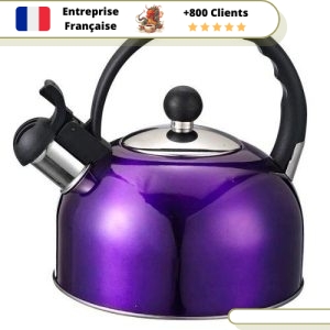 Bouilloire Vintage La Violette à Induction