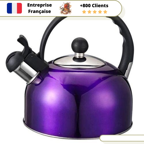 Bouilloire Vintage La Violette à Induction