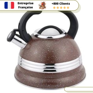 Bouilloire Vintage La Sifflante en Inox