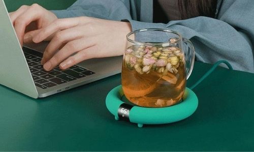 Chauffes-Tasses-Electriques