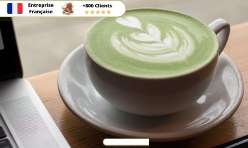 Fouet-Matcha-Électrique-avec-Thé