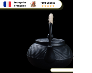 Théière en Fonte Japonaise 600ml | MESSHUKOTO