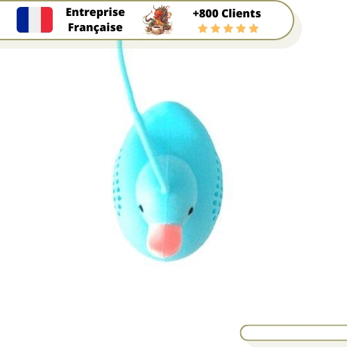 Infuseur Malard Flottant