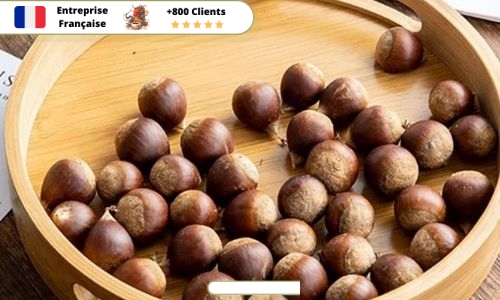 Plateau-Bambou-Rond-avec-Fruit