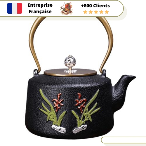 Théière en Fonte 1 2 Litre d'eau pour ma Fleur