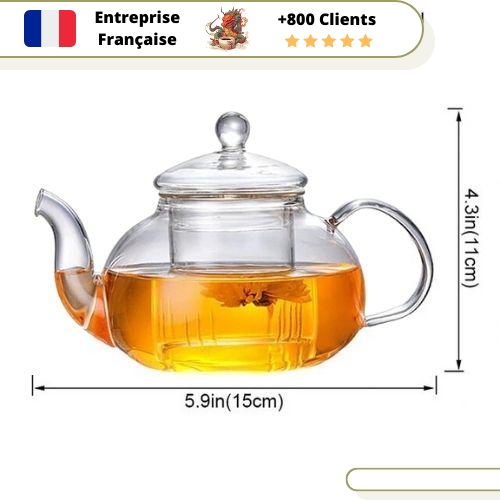 Théière-en-Verre-Infuseur-600-ml