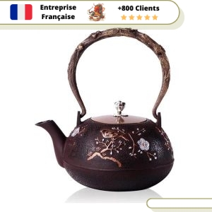 Théière Bouilloire en Fonte Chinoise 1,2L | QÏNGJIÉ