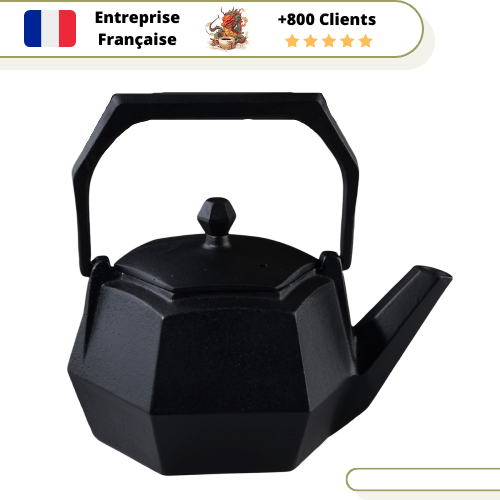 Théière en Fonte Hexagonal 1,1L | ROKKAKU