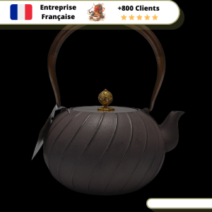 Théière en Fonte Spirale 1,2L | HIGE