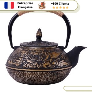 Théière en Fonte Japonaise 900ml | BOTAN