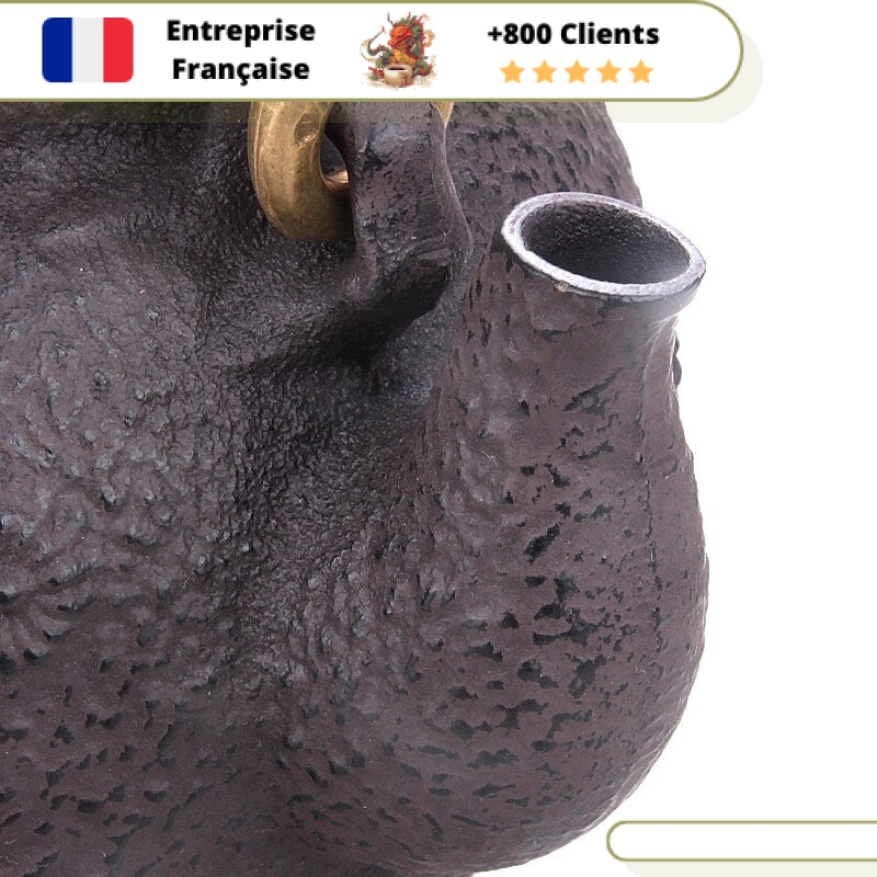 Théière en Fonte Tortues 1,3L | CHŌJU – Image 9